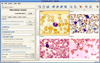 Web Album Creator Screenshot